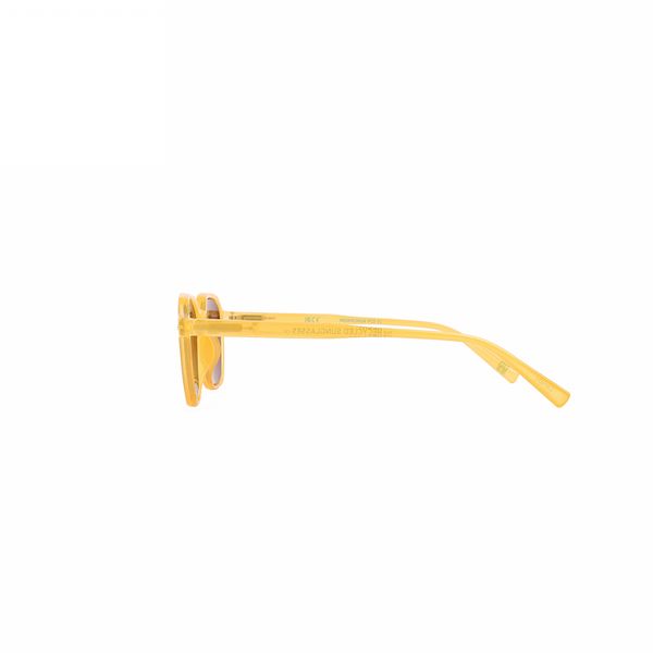 Carnaby Amber Unisex Sunglasses