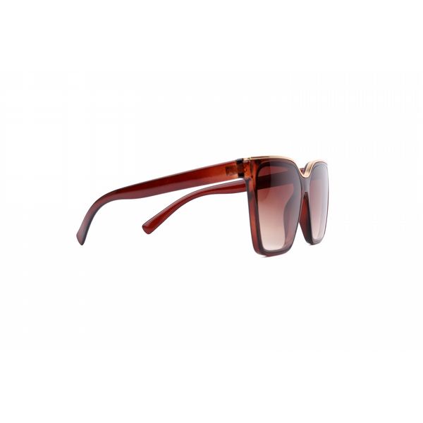 Monroe Brown D-Frame Sunglasses