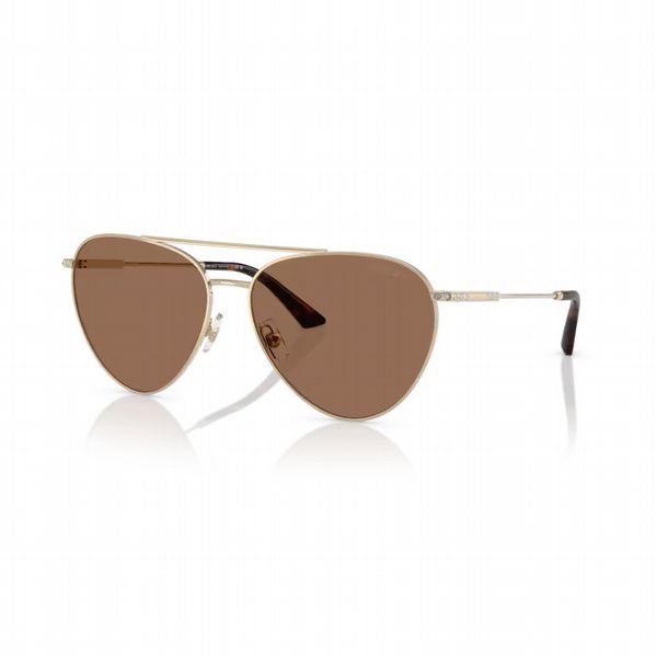 Jimmy Choo Pale Gold Frame With Dark Grey Lens - Size Xx Large