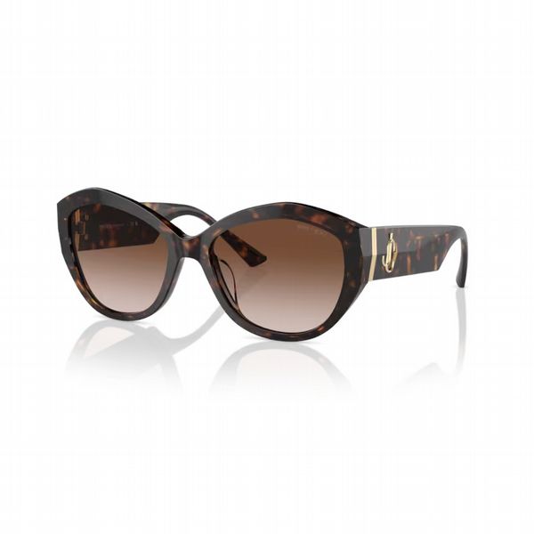 Jimmy Choo Havana Frame With Gradient Brown Lens - Size Small